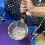 TGS：奇葩游戏《拉面沥水》亮相！又快又狠方为上策